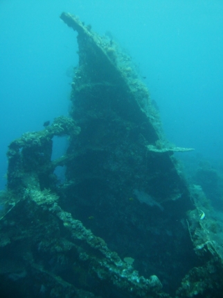 tulamben (35)